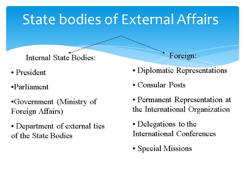 State bodies of External Affairs Internal State Bodies:  President Parliament Government (Ministry of